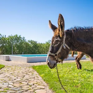 Alloggio per agriturismo Burro, Portimão
